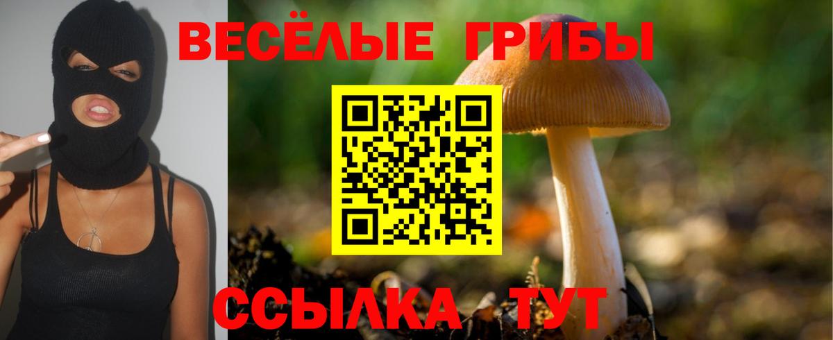 Псилоцибиновые грибы Cubensis  Псилоцибиновые грибы Psilocybe  Вход с VPN  Карачаевск 